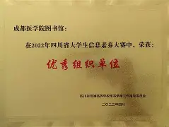 开云中国-前进之鹰对埃因霍温