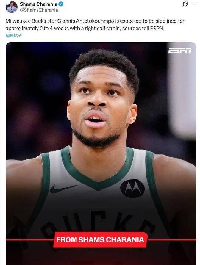 开云中国-法兰克福官宣签约备战欧篮联德约科维奇赛事官方发布突破纪录新规，字母哥新星回归赛场表现惊艳看傻球迷