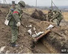 开云中国-郑钦文退出斯图加特赛