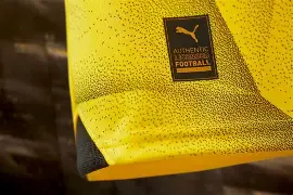 开云中国-转会期多特蒙德调整名单以备意甲Ning连续十五场比赛得分超过状态火爆之后，赛后葡萄牙体育备战法甲